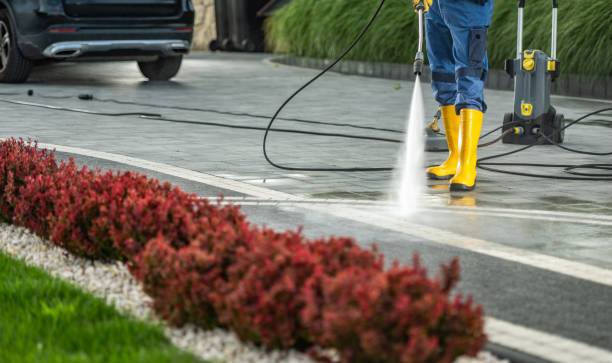 Best Roof Pressure Washing  in Fussels Corner, FL